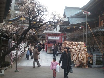 matsuri4