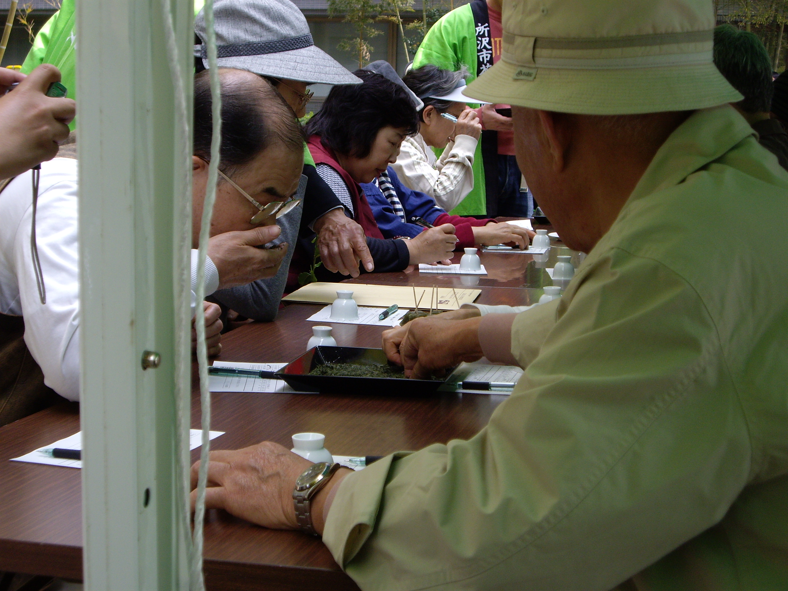 sayama-tea