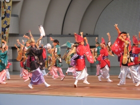 yosakoi3